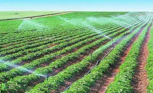 艹入小洞农田高 效节水灌溉
